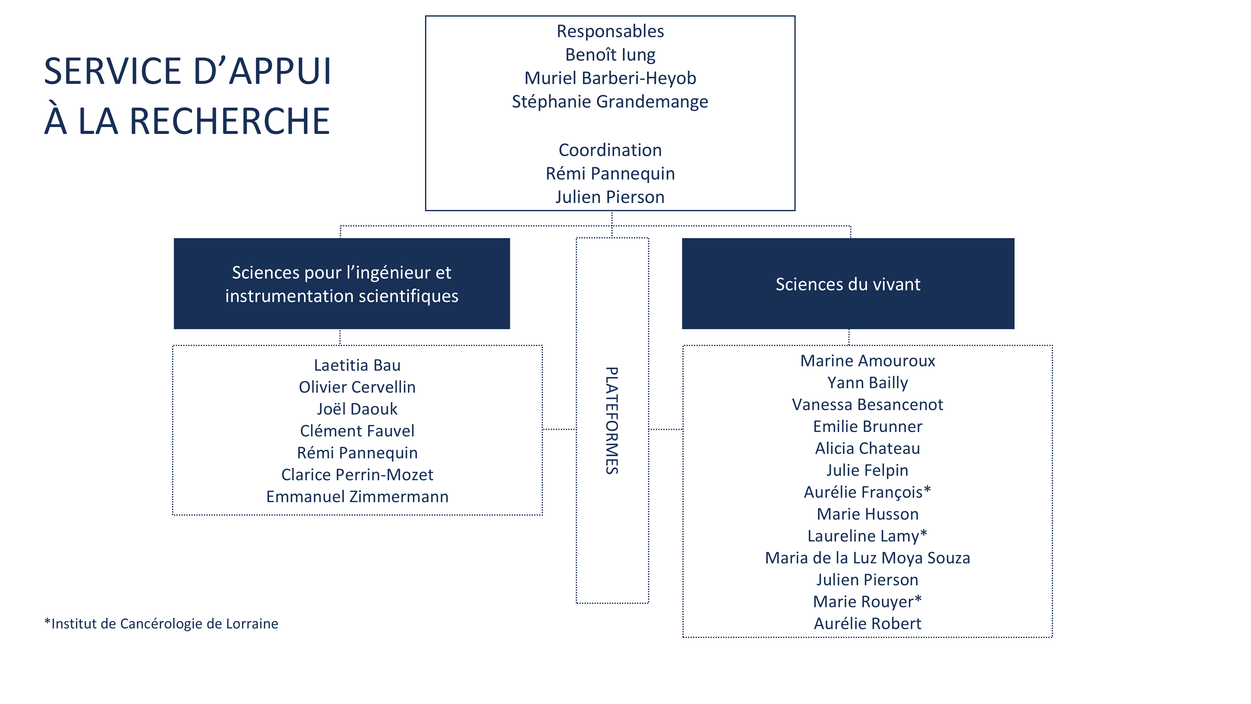 Organigramme global du CRAN
